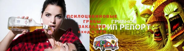 молекула духа Нягань