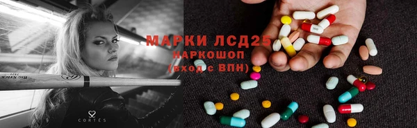 ПСИЛОЦИБИНОВЫЕ ГРИБЫ Нязепетровск