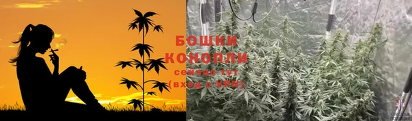 дмт Краснослободск
