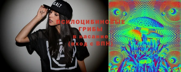 ПСИЛОЦИБИНОВЫЕ ГРИБЫ Нязепетровск