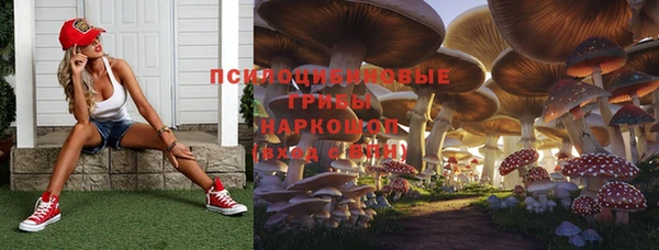 ПСИЛОЦИБИНОВЫЕ ГРИБЫ Нязепетровск
