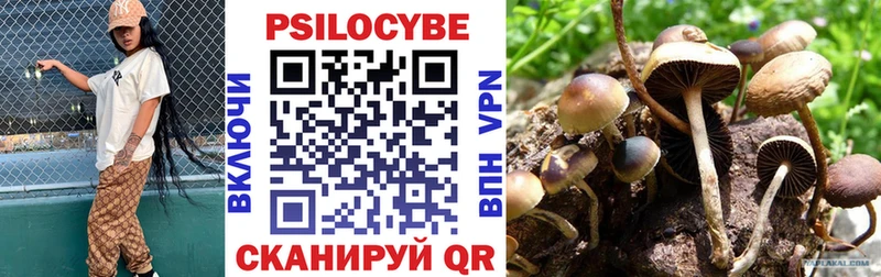 Галлюциногенные грибы мухоморы  Алзамай 